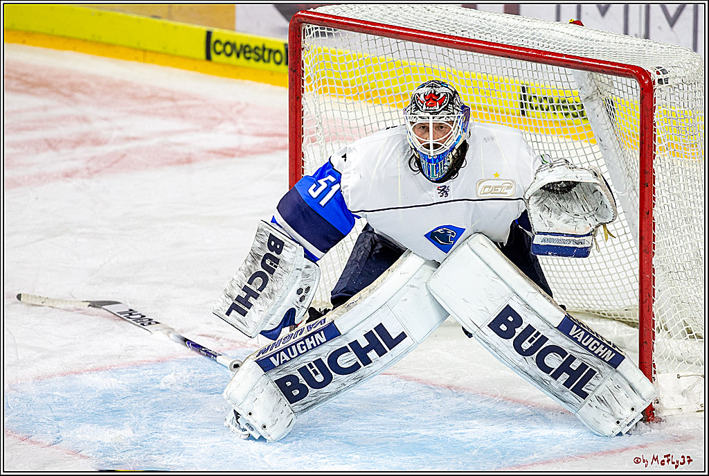 DEL; Koelner Haie - ERC Ingolstadt, 31.03.2019